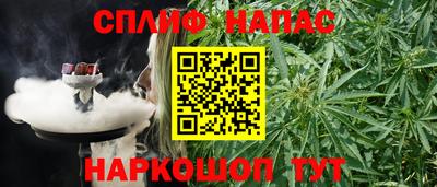 мяу мяу мука Кингисепп
