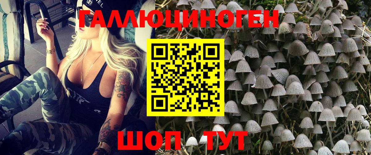 Псилоцибиновые грибы GOLDEN TEACHER  закладки  Кузнецк  Вход с VPN 