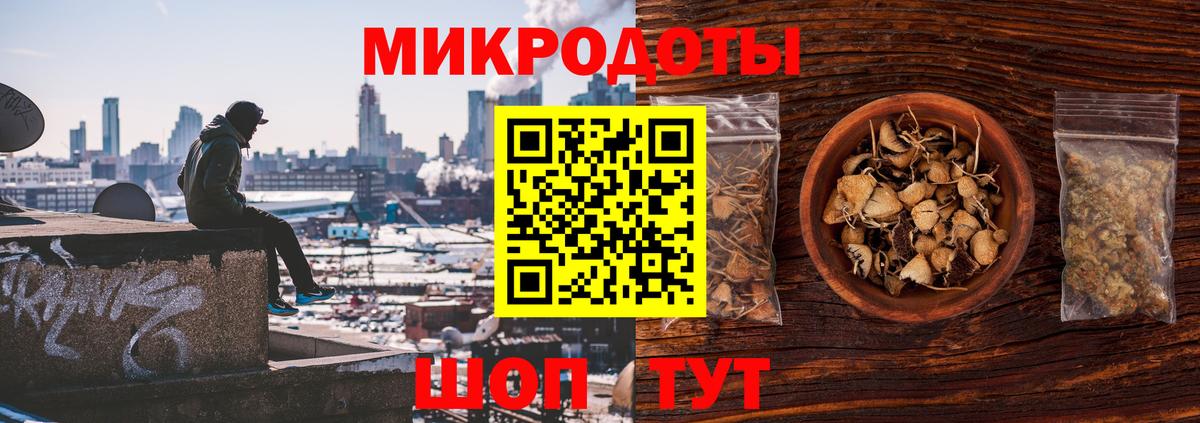 Псилоцибиновые грибы Cubensis Кузнецк